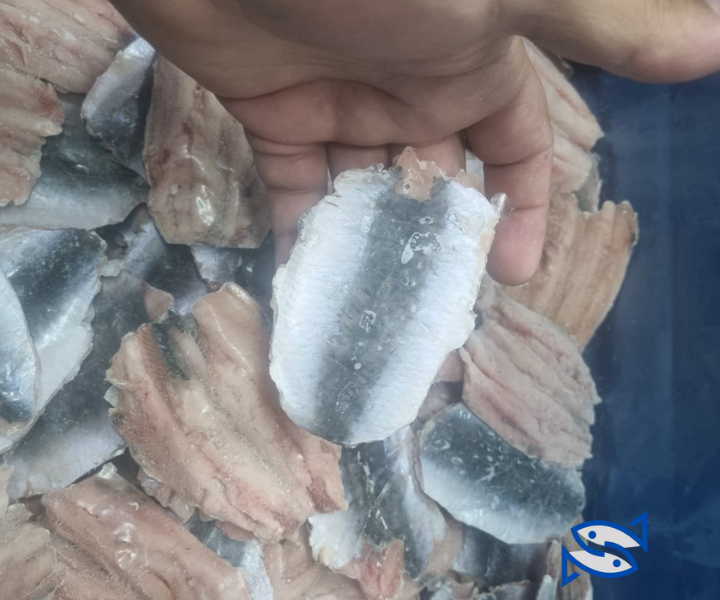 MOROCCAN SARDINE -FILLET FROZEN