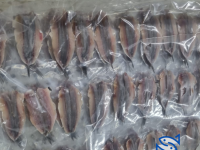 Moroccan Anchovy , Fillet