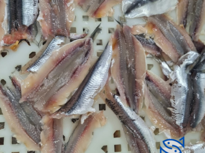 Moroccan Anchovy , Fillet